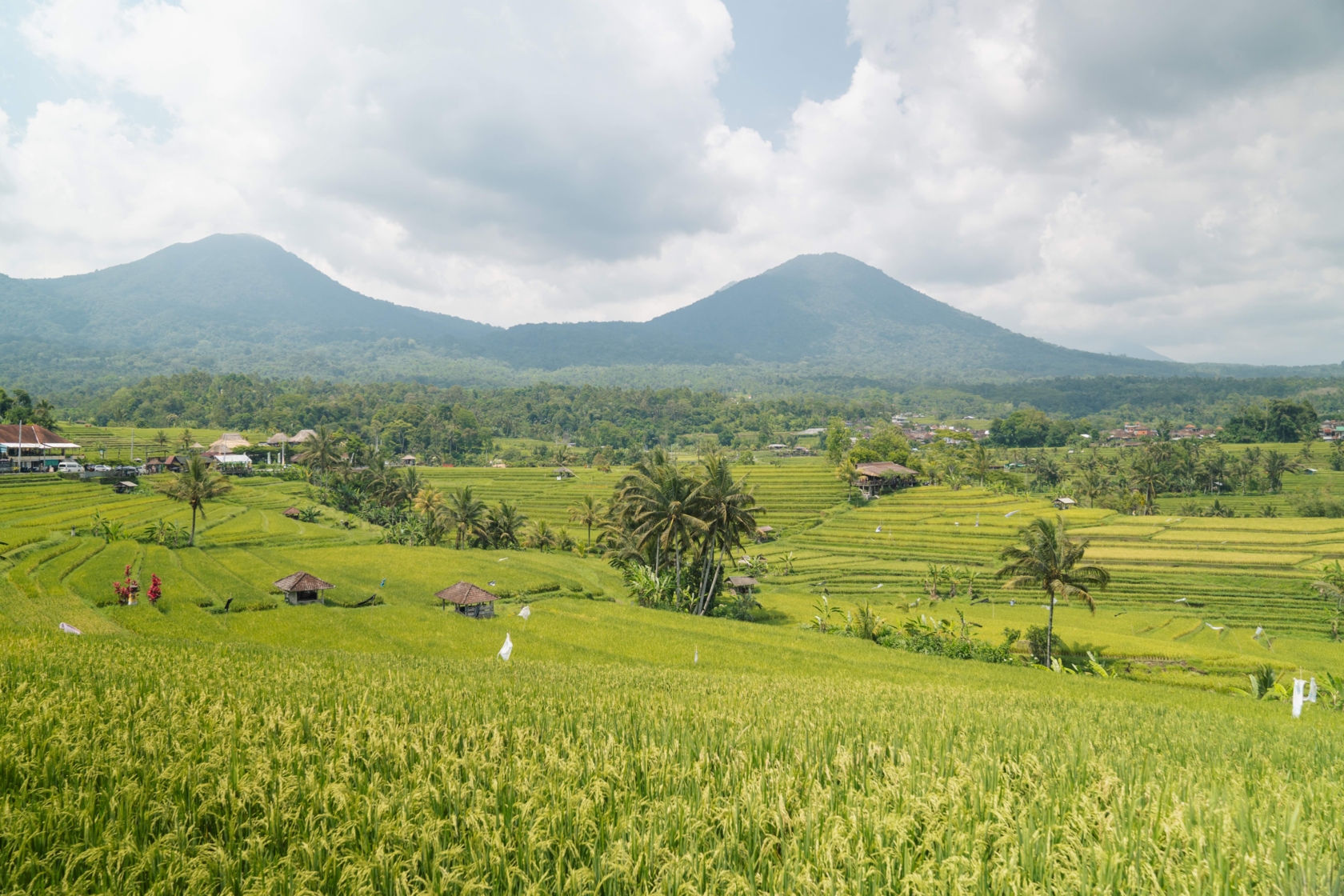 RT-55_top_Main banner-5